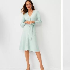 Ann Taylor Mint Green Midi Sweater Dress Size XS
